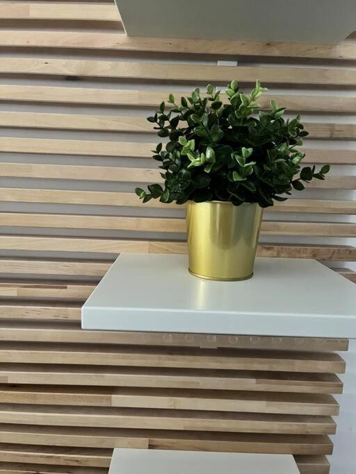 Casapratti Pescara Centro Apartman Kültér fotó